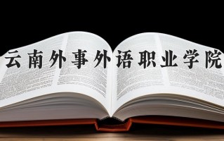 2024年云南外事外语职业学院录取分数线，河北最低255分