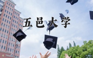 2025年五邑大学在河南计划招生人数（附学费及专业录取分)