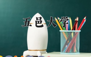 2025年五邑大学在新疆计划招生人数（附学费及专业录取分)