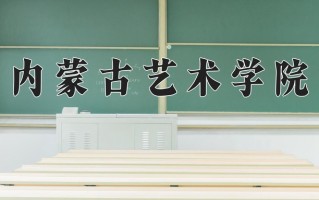 2025年内蒙古艺术学院在新疆计划招生人数（附学费及专业录取分)