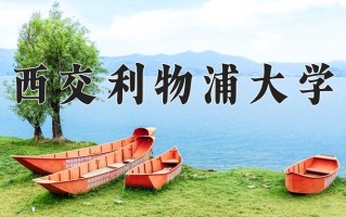 2025年西交利物浦大学在新疆计划招生人数（附学费及专业录取分)