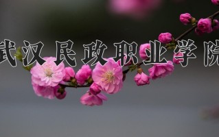 2025年武汉民政职业学院在四川计划招生人数（附学费及专业录取分)