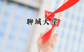 2024聊城大学录取分数线：陕西最低458分