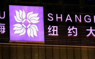 2025上海市合作办学大学排名一览，附校友会排名详情