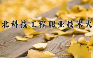 2025年河北科技工程职业技术大学在四川计划招生人数（附学费及专业录取分)