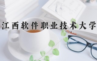 2025年江西软件职业技术大学在河南计划招生人数（附学费及专业录取分)