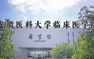 2025年安徽医科大学临床医学院在四川计划招生人数（附学费及专业录取分)