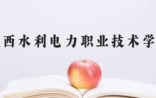 2025年广西水利电力职业技术学院在四川计划招生人数（附学费及专业录取分)