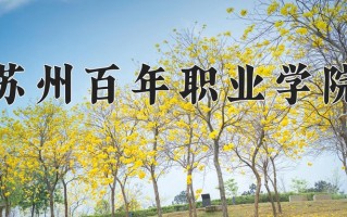 2025年苏州百年职业学院在河南计划招生人数（附学费及专业录取分)