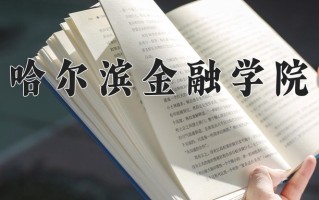 2025年哈尔滨金融学院在四川计划招生人数（附学费及专业录取分)