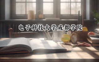 电子科技大学成都学院2024在青海录取分数线是多少？最低347分/最高411分