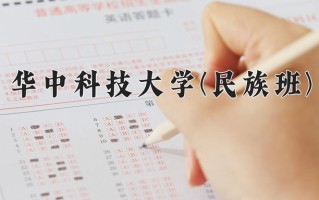 2025年华中科技大学(民族班)在重庆计划招生人数（附学费及专业录取分)