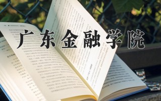 2025年广东金融学院在四川计划招生人数（附学费及专业录取分)
