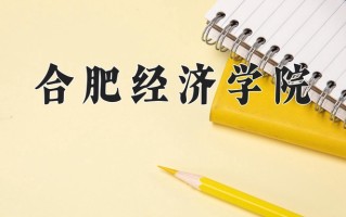 合肥经济学院王牌专业有哪些？附2025最新王牌专业排名一览表