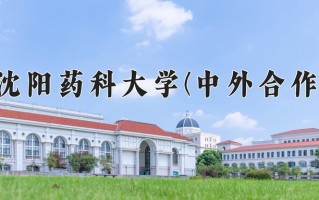 2025年沈阳药科大学(中外合作)在重庆计划招生人数（附学费及专业录取分)