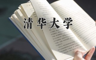 2025年清华大学在新疆计划招生人数（附学费及专业录取分)
