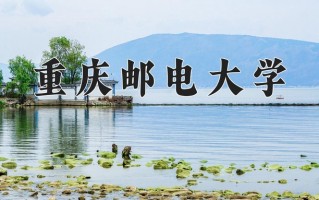 2025年重庆邮电大学在河南计划招生人数（附学费及专业录取分)