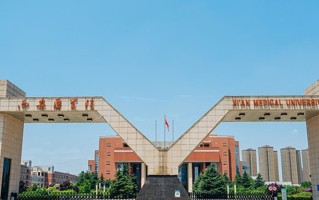 2024年西安医学院录取分数线，河北最低522分