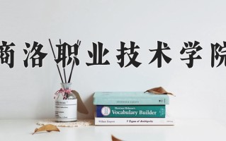2025年商洛职业技术学院在河南计划招生人数（附学费及专业录取分)