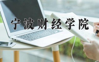 2025年宁波财经学院在新疆计划招生人数（附学费及专业录取分)