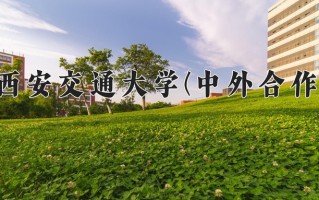 2024西安交通大学(中外合作)录取分数线，重庆录取最低分612