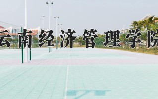 2025年云南经济管理学院在河南计划招生人数（附学费及专业录取分)
