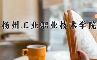 2025年扬州工业职业技术学院在新疆计划招生人数（附学费及专业录取分)