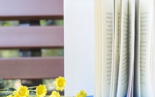 2024年广东艺术职业学院在广东计划招生人数（附学费及专业录取分）