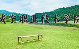 2025年咸宁职业技术学院在四川计划招生人数（附学费及专业录取分)