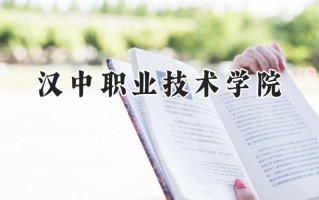 汉中职业技术学院2024在青海录取分数线是多少？最低303分/最高364分