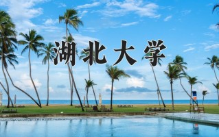 2025年湖北大学在新疆计划招生人数（附学费及专业录取分)