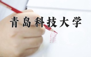 2025年青岛科技大学在四川计划招生人数（附学费及专业录取分)