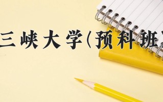 2025年三峡大学(预科班)在重庆计划招生人数（附学费及专业录取分)