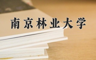 森林工程专业2025年广东招生院校有哪些？含学费及招生人数