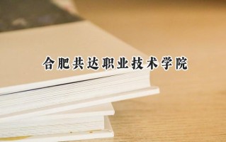 2024合肥共达职业技术学院录取分数线：江苏最低241分
