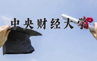 2025年中央财经大学在河南计划招生人数（附学费及专业录取分)