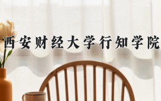 2025年西安财经大学行知学院在四川计划招生人数（附学费及专业录取分)