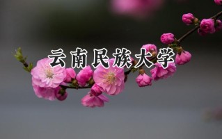 云南民族大学2024在山东录取分数线是多少？最低498分/最高551分