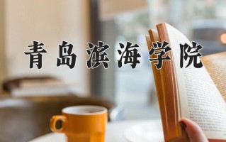 2025年青岛滨海学院在河南计划招生人数（附学费及专业录取分)