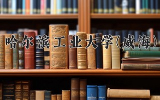 2024年哈尔滨工业大学(威海)录取分数线，宁夏最低593分