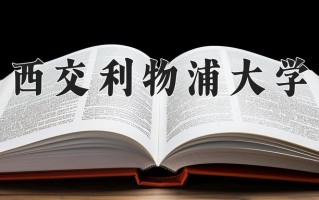 2025年西交利物浦大学在四川计划招生人数（附学费及专业录取分)