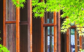 2024年广西经济职业学院在广东计划招生人数（附学费及专业录取分）
