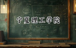 宁夏理工学院2024在青海录取分数线是多少？最低327分/最高407分