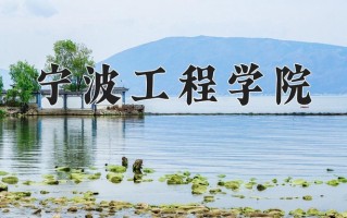 2025年宁波工程学院在河南计划招生人数（附学费及专业录取分)