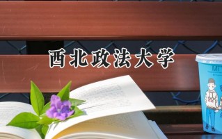 西北政法大学2024在上海录取分数线是多少？最低533分/最高537分