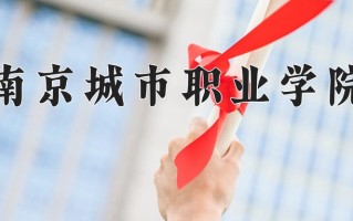 2025年南京城市职业学院在河南计划招生人数（附学费及专业录取分)