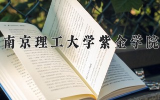 2025年南京理工大学紫金学院在四川计划招生人数（附学费及专业录取分)
