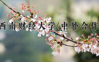 西南财经大学(中外合作)学费多少钱一年：69000-76000元/年（2025填报参考）