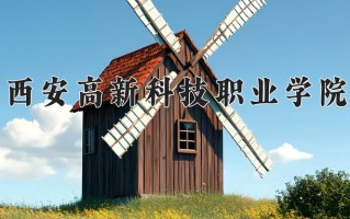2024年西安高新科技职业学院录取分数线，青海最低238分