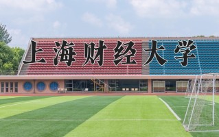 2025年上海财经大学在河南计划招生人数（附学费及专业录取分)